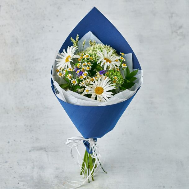 Ветреный день